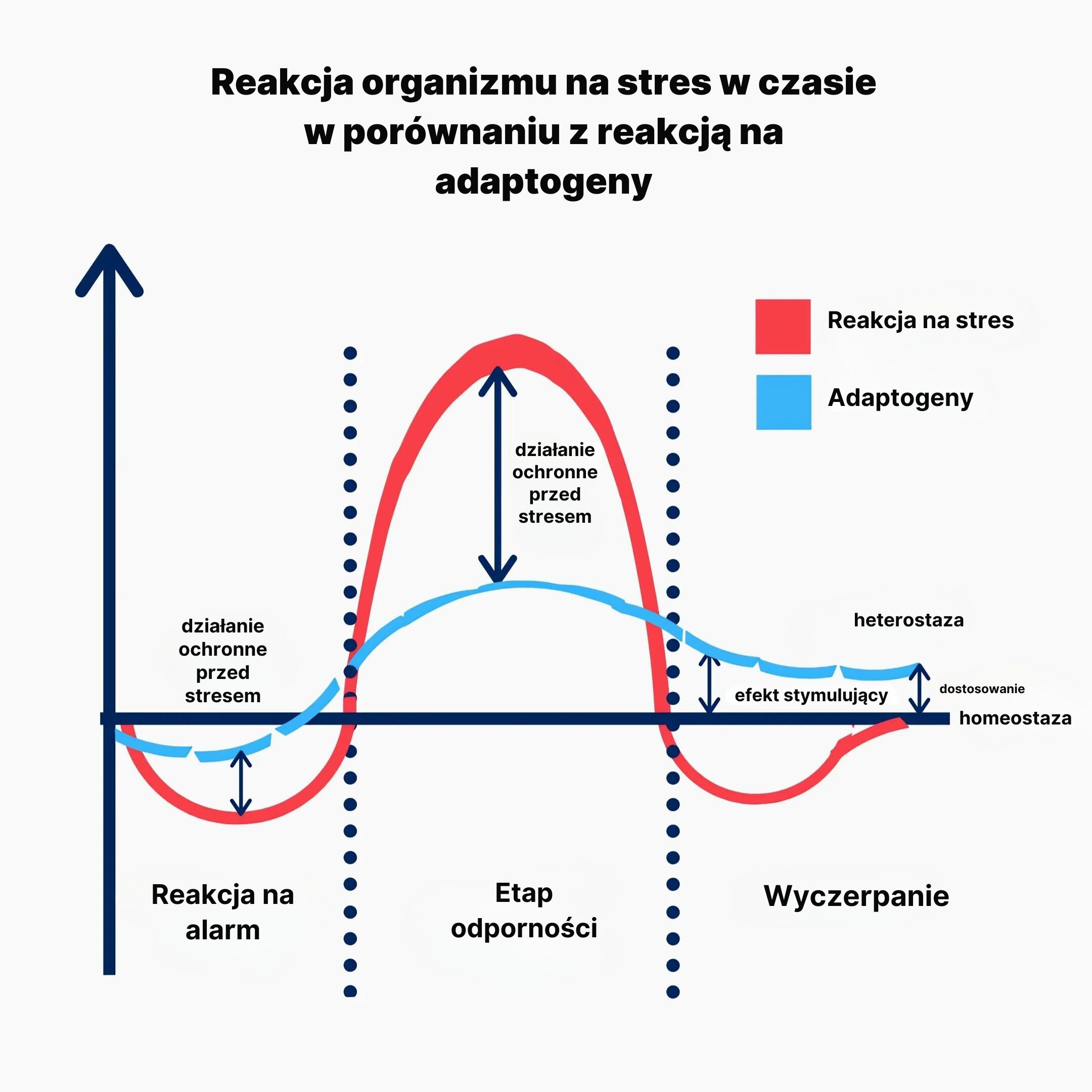 (Polština) Reakce těla na stres v průběhu času ve srovnání s reakcí s adaptogeny
